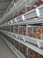 H Frame Layer Battery Cage System